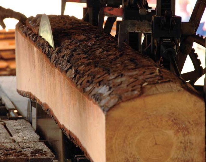Wood Saw | Intermountain Forest Association